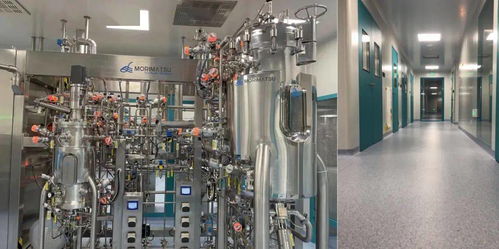 中国首个mRNA新冠疫苗工厂成功交付 森松法玛度模块化数字化设计建造引领数字技术新服务