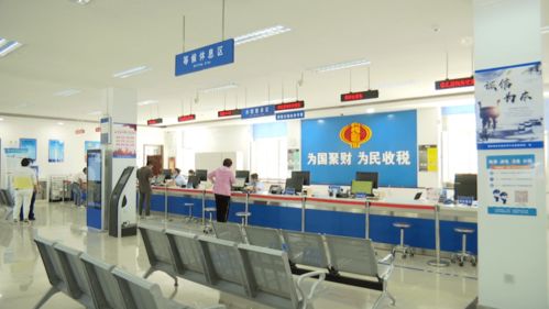 暖心服务跨越数字鸿沟 石河子税务局助老人乐享数字时代